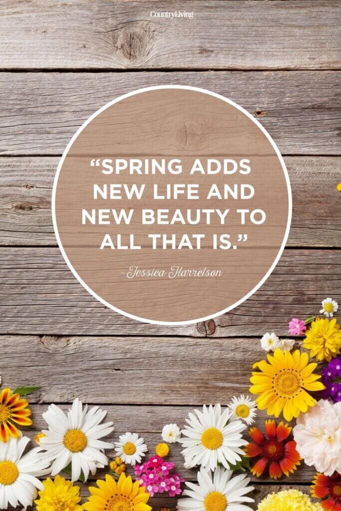 Spring Time