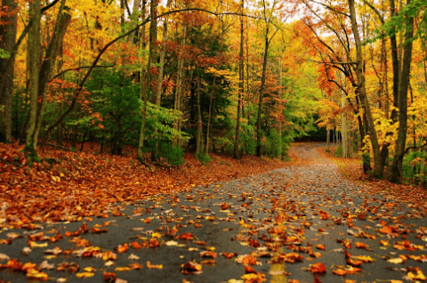 Fall is in that air
