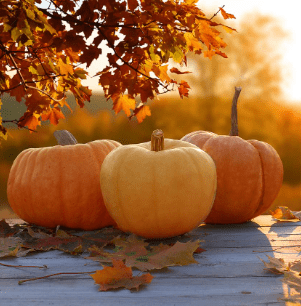 Fall Time