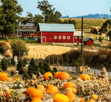 Fall Time
