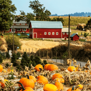 Fall Time